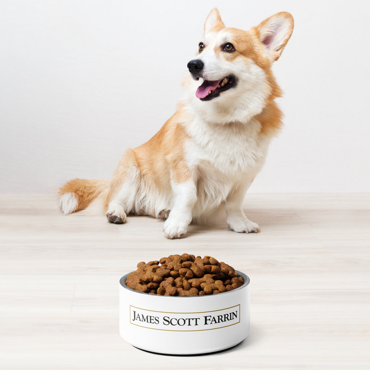 Pet Bowl